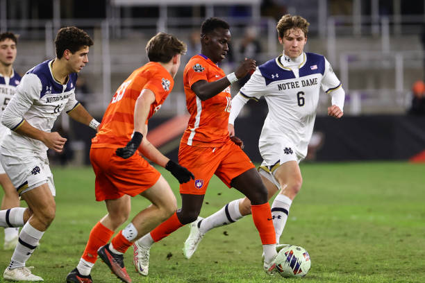 视的亮点 视的亮点